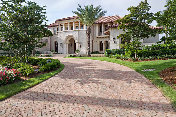 Best Driveway Paving Near Me  in Winfield, AL